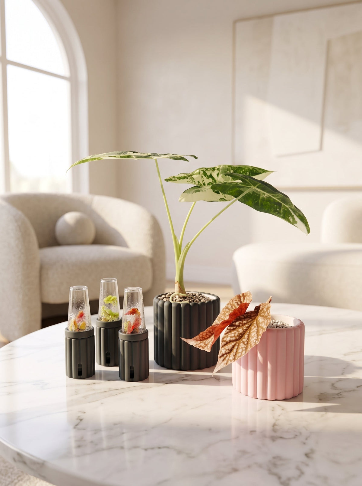 Pots & Planters